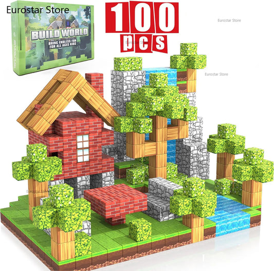 Maison Magnétique minecraft